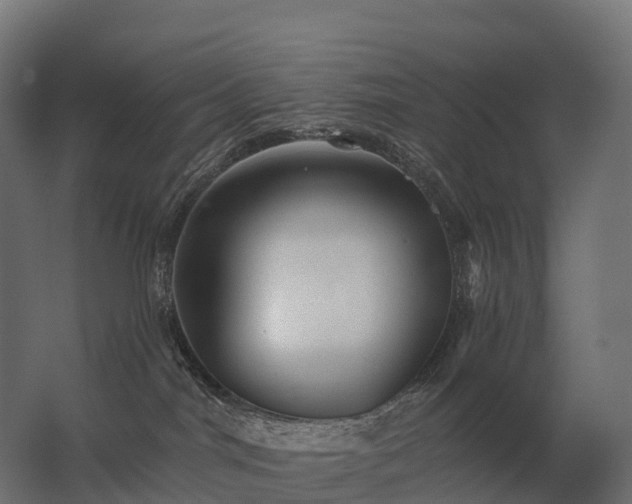 X0000062790044200512290234