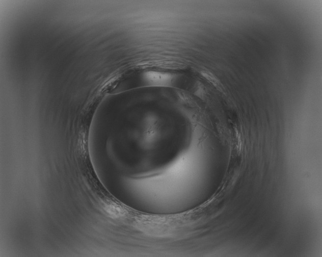 X0000062790045200512290234