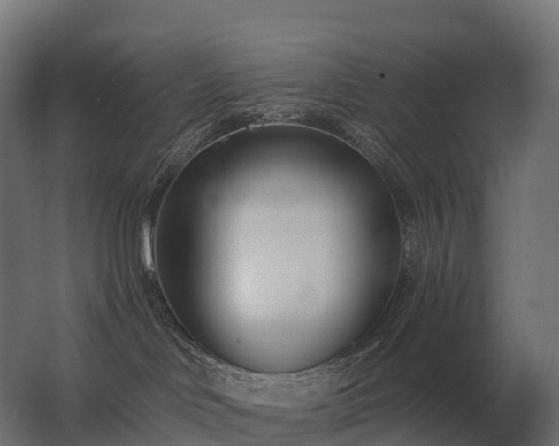 X0000062790046200512290234