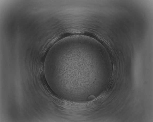 X0000062790048200512290234