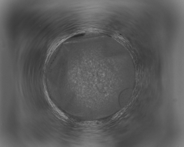 X0000062790049200512290233