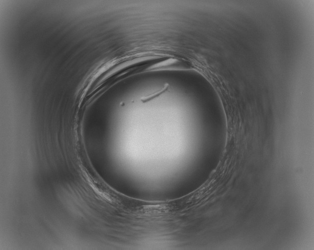 X0000062790050200512290233