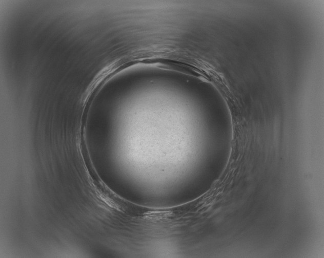 X0000062790051200512290233