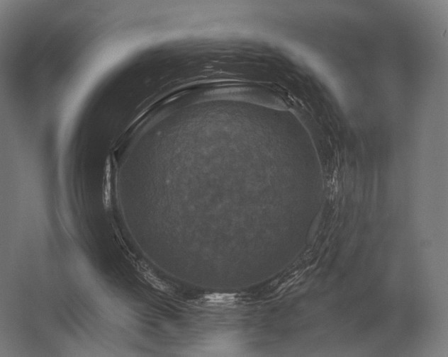 X0000062790052200512290233