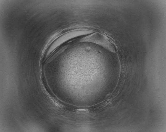 X0000062790053200512290233