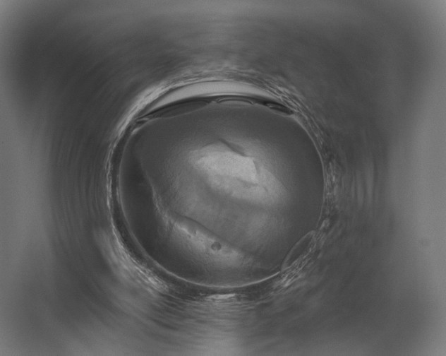 X0000062790054200512290233