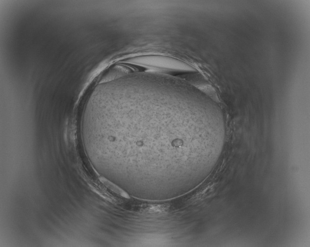 X0000062790056200512290233