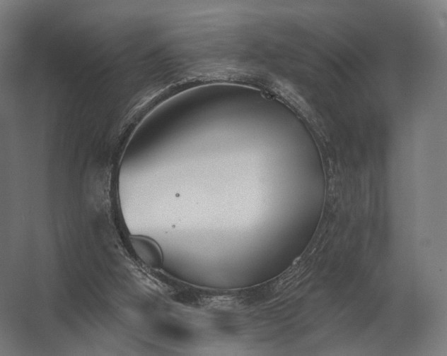 X0000062790058200512290233