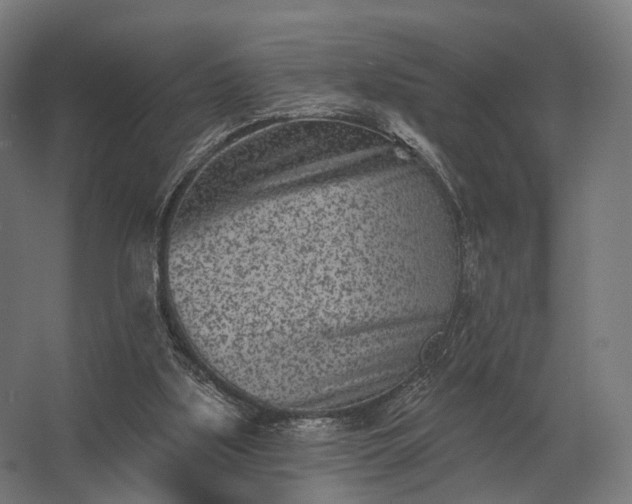 X0000062790059200512290233