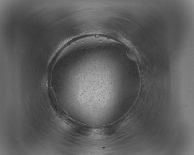 X0000062790060200512290233