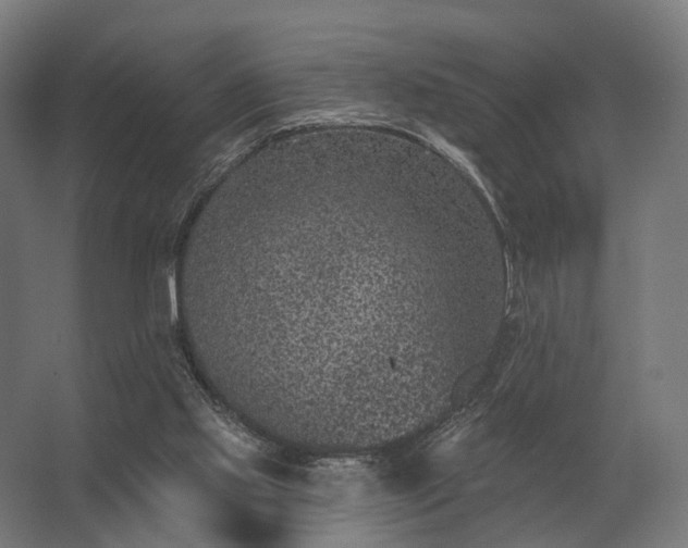 X0000062790061200512290233