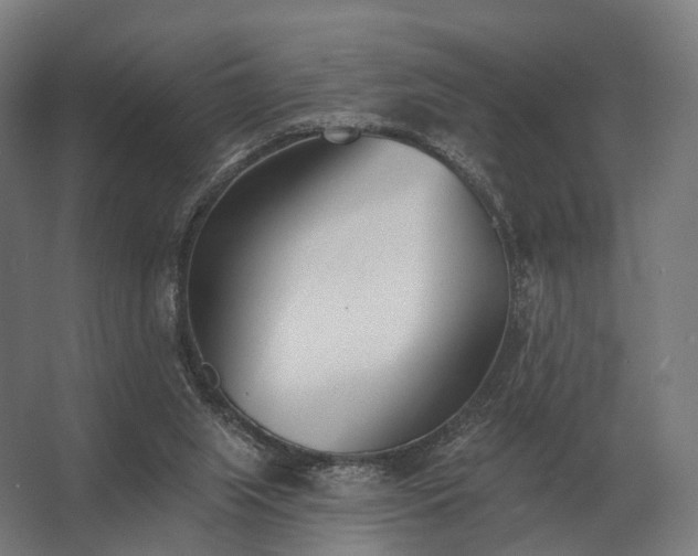 X0000062790063200512290233