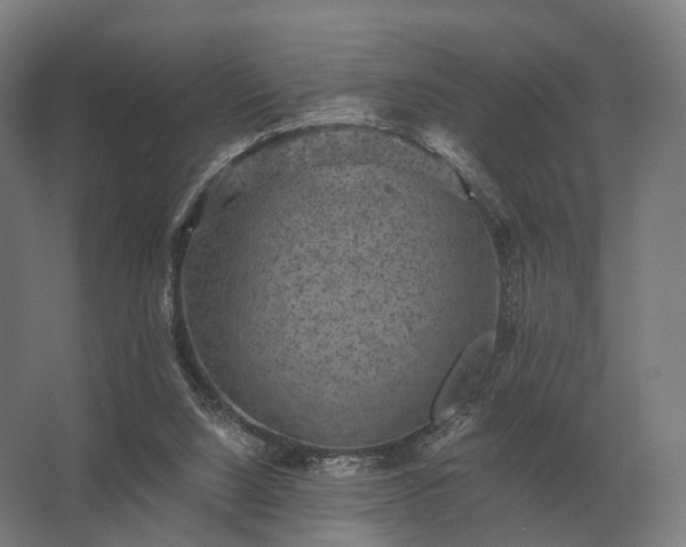 X0000062790064200512290233