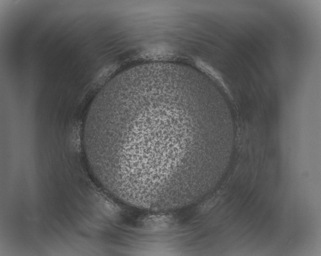 X0000062790065200512290233