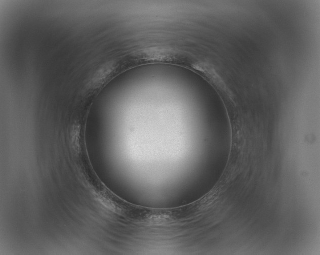 X0000062790066200512290233