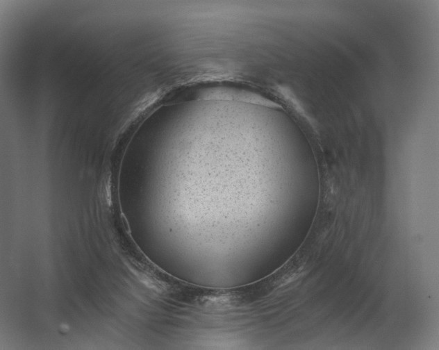 X0000062790068200512290233