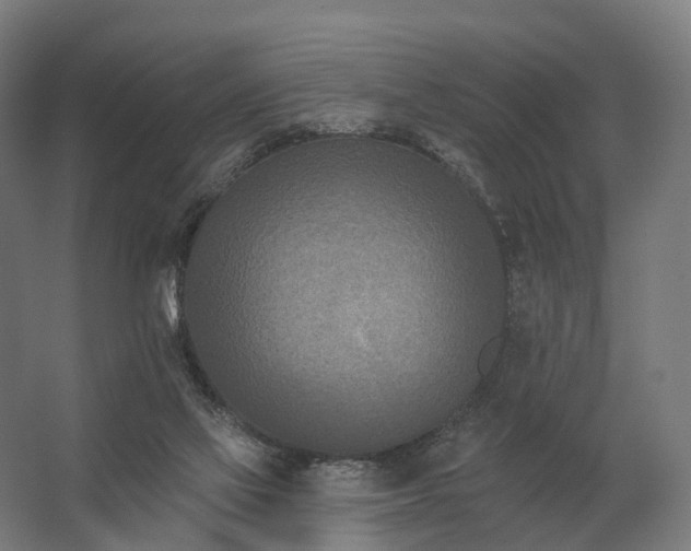 X0000062790069200512290233