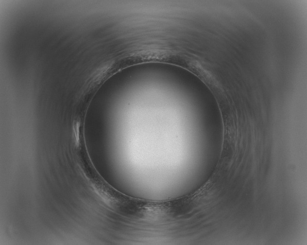 X0000062790070200512290233