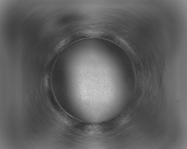 X0000062790071200512290233