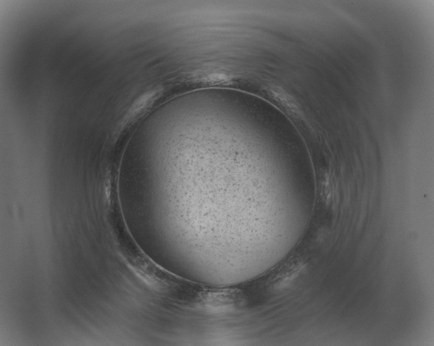 X0000062790072200512290233