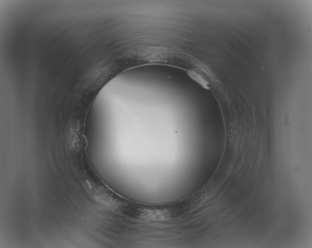 X0000062790073200512290233