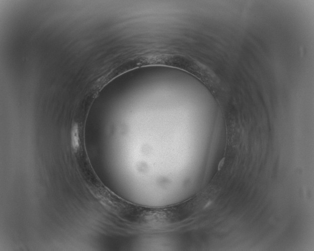 X0000062790075200512290233