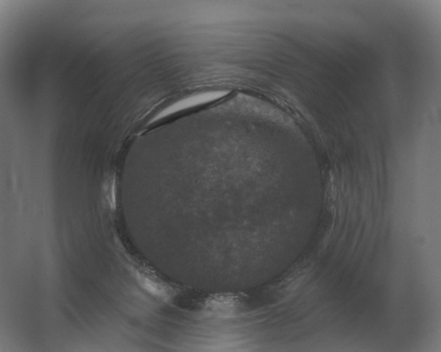 X0000062790076200512290233