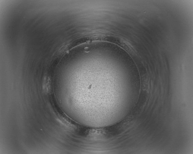 X0000062790077200512290233