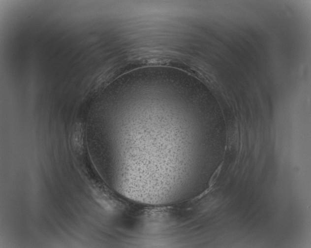 X0000062790078200512290233