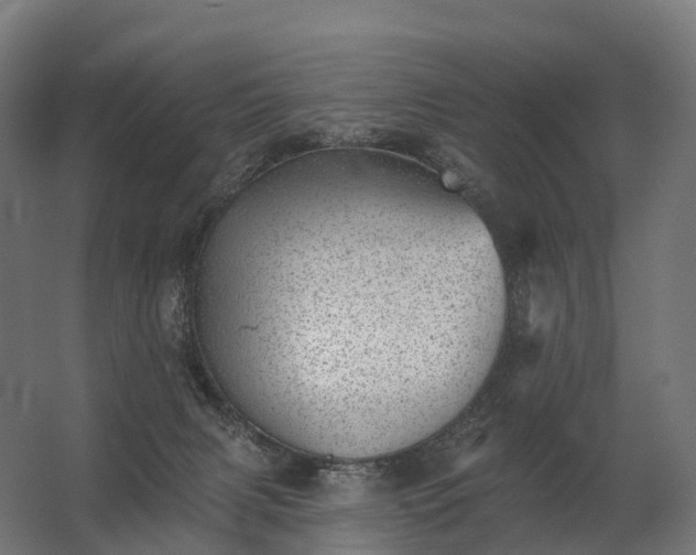 X0000062790079200512290233