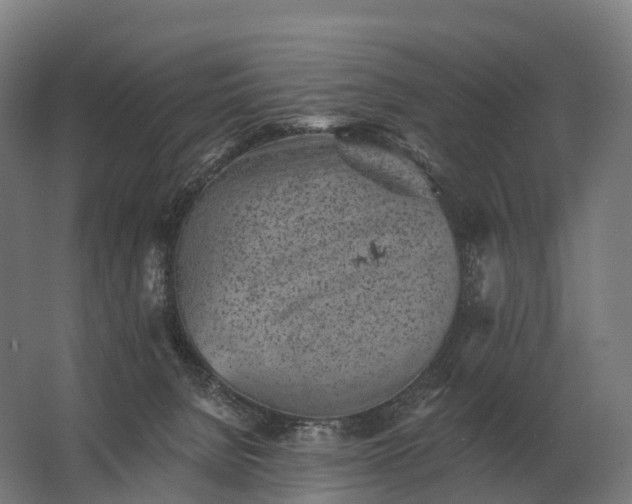 X0000062790080200512290233