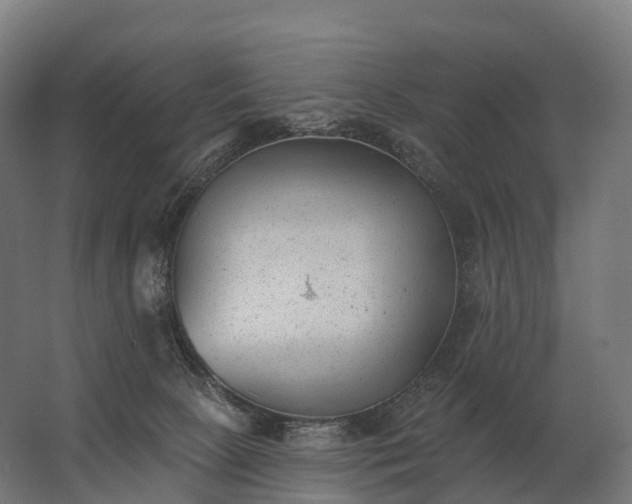 X0000062790081200512290233