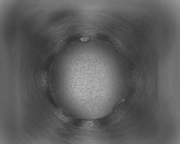 X0000062790083200512290233