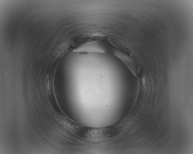 X0000062790084200512290234