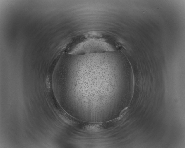 X0000062790086200512290234