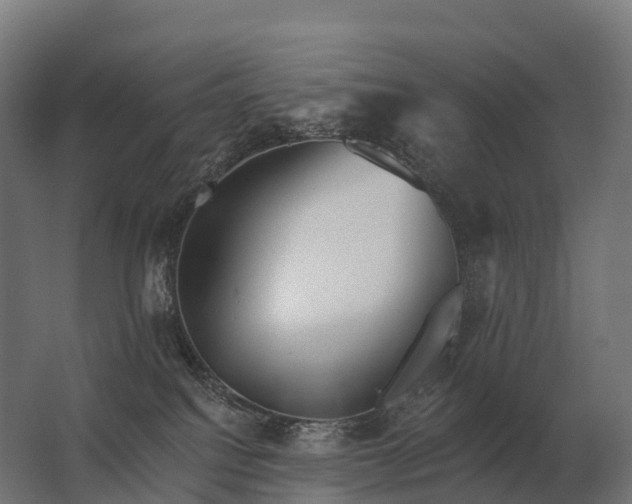 X0000062790088200512290234