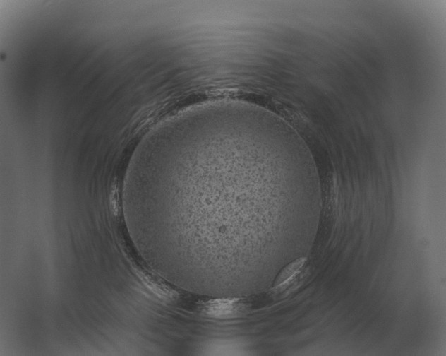 X0000062790090200512290234