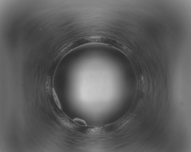 X0000062790092200512290234