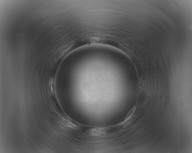 X0000062790094200512290234