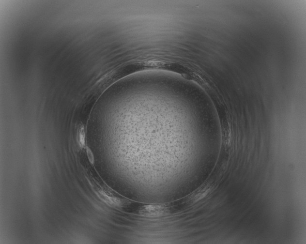 X0000062790095200512290234