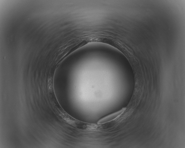 X0000062790096200512290234