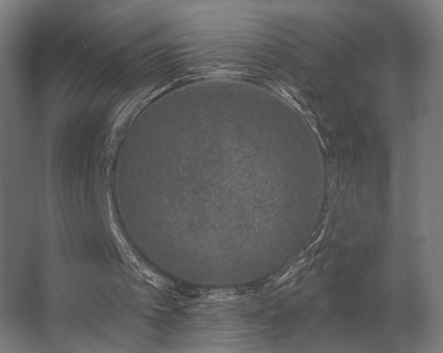 X0000062790097200512290233