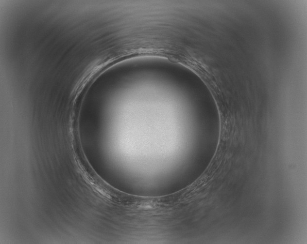 X0000062790098200512290233