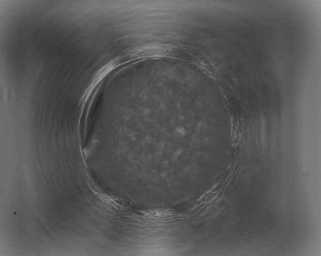 X0000062790099200512290233