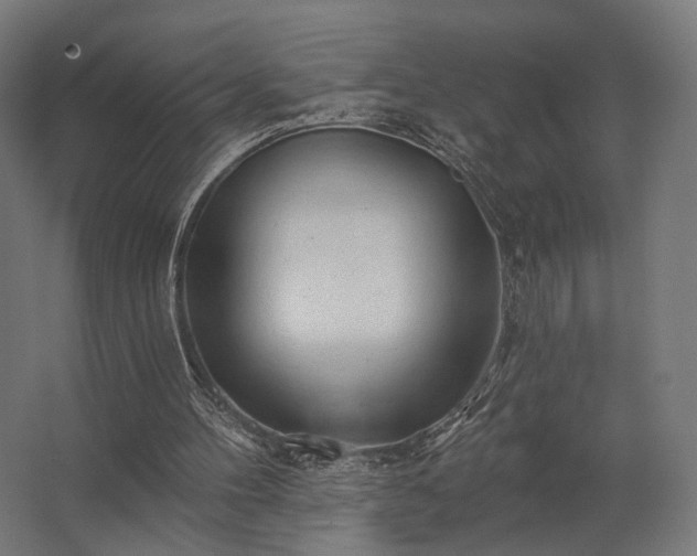 X0000062790100200512290233