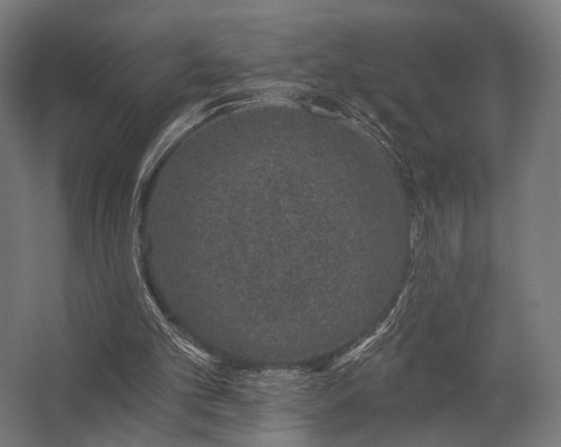 X0000062790101200512290233