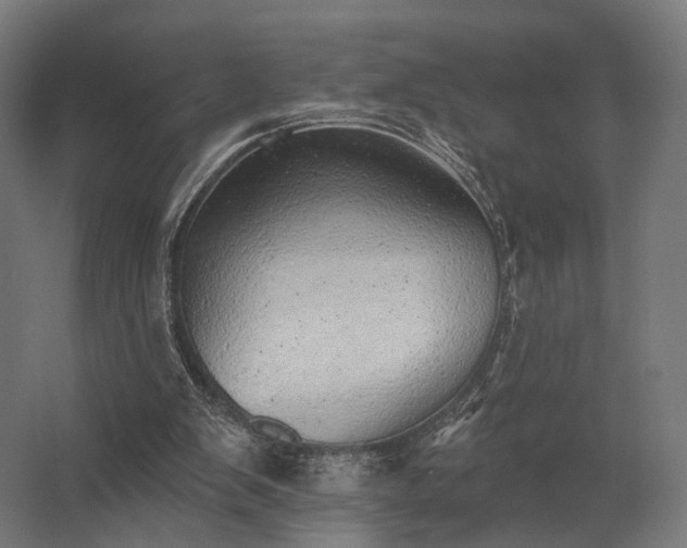 X0000062790103200512290233