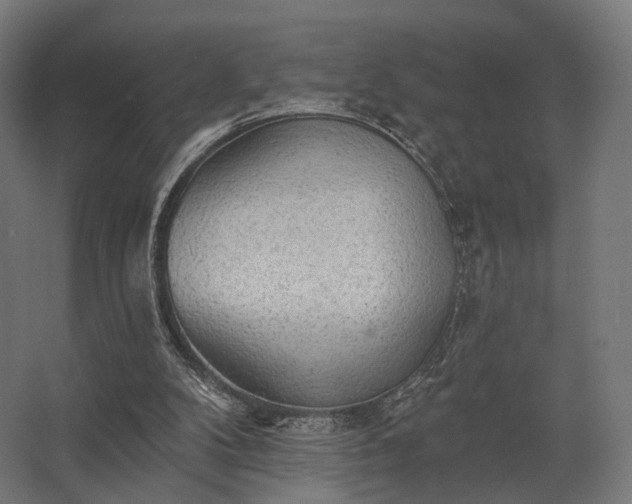 X0000062790104200512290233