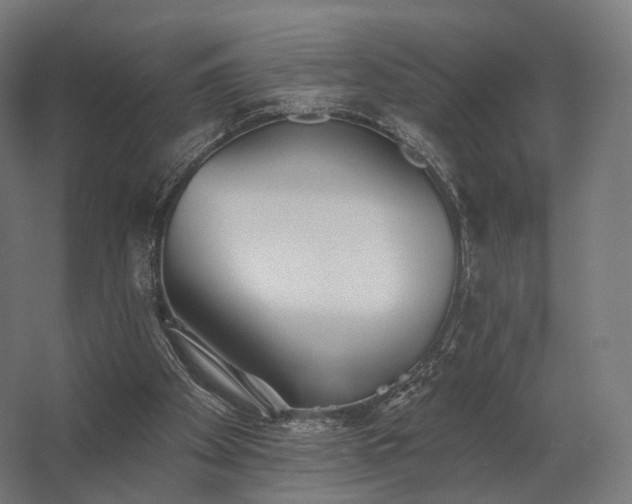 X0000062790105200512290233