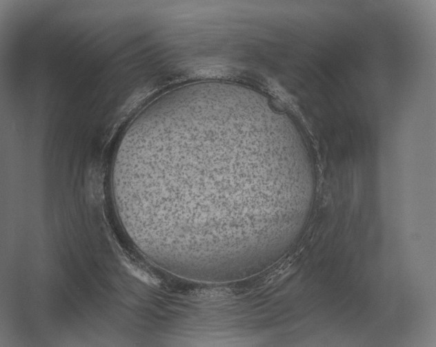 X0000062790106200512290233